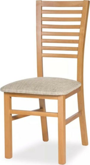 Jídelní židle - MIKO Jídelní židle Daniel 6