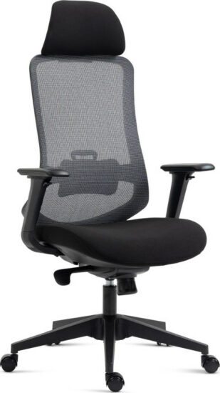 Kancelářské židle - Autronic Kancelářská židle KA-V322 BK