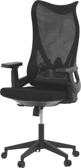 Kancelářské židle - Autronic Židle kancelářská KA-S248 BK