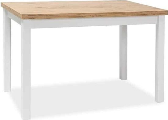 Jídelní stoly - Casarredo Jídelní stůl ADAM 100x60 - dub lancelot/bílá mat